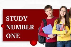 The Initial Study: Number One Project Insights Guide Study Travel Abroad | Explore Educational Trips & Global Learning Opportunities The Initial Study: Number One Project Insights Guide | Study Travel Abroad | Explore Educational Trips & Global Learning Opportunities