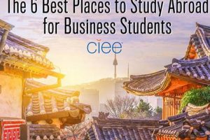 Best Places to Study At: Your Study Spot Guide | Study Travel Abroad | Explore Educational Trips & Global Learning Opportunities