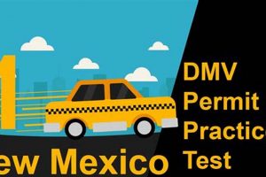Ace Your NM Driving Test: The Official Study Guide Review Study Travel Abroad | Explore Educational Trips & Global Learning Opportunities Ace Your NM Driving Test: The Official Study Guide Review | Study Travel Abroad | Explore Educational Trips & Global Learning Opportunities