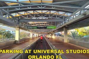 Universal Studios Parking: How Much Does Parking Cost? Study Travel Abroad | Explore Educational Trips & Global Learning Opportunities Universal Studios Parking: How Much Does Parking Cost? | Study Travel Abroad | Explore Educational Trips & Global Learning Opportunities