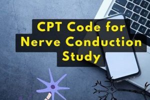 Decoding CPT Code for Nerve Conduction Study: Billing Guide Study Travel Abroad | Explore Educational Trips & Global Learning Opportunities Decoding CPT Code for Nerve Conduction Study: Billing Guide | Study Travel Abroad | Explore Educational Trips & Global Learning Opportunities