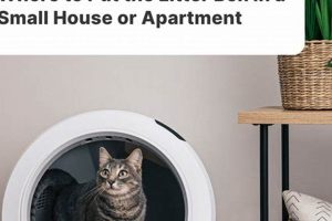 Studio Savvy: Where to Put Litter Box in Small Apartments Study Travel Abroad | Explore Educational Trips & Global Learning Opportunities Studio Savvy: Where to Put Litter Box in Small Apartments | Study Travel Abroad | Explore Educational Trips & Global Learning Opportunities