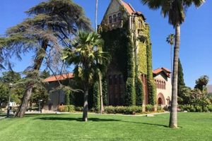 Your SJSU Study Abroad Adventure Awaits! Study Travel Abroad | Explore Educational Trips & Global Learning Opportunities Your SJSU Study Abroad Adventure Awaits! | Study Travel Abroad | Explore Educational Trips & Global Learning Opportunities