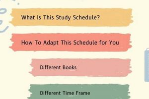 Ace the MCAT: A Solid 4 Month MCAT Study Plan + Tips Study Travel Abroad | Explore Educational Trips & Global Learning Opportunities Ace the MCAT: A Solid 4 Month MCAT Study Plan + Tips | Study Travel Abroad | Explore Educational Trips & Global Learning Opportunities