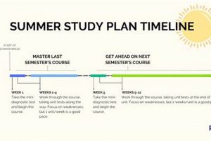Decoding: Internal Summer Study Courses Meaning Guide Study Travel Abroad | Explore Educational Trips & Global Learning Opportunities Decoding: Internal Summer Study Courses Meaning Guide | Study Travel Abroad | Explore Educational Trips & Global Learning Opportunities