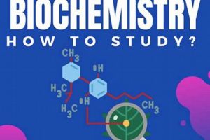 Best Way: How to Study Biochemistry? Tips + Success! | Study Travel Abroad | Explore Educational Trips & Global Learning Opportunities