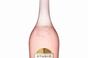 Find a Studio Rose: Your Creative Space + Guide | Study Travel Abroad | Explore Educational Trips & Global Learning Opportunities