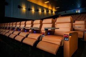 Experience Missouri City: Studio Movie Grill & More! Study Travel Abroad | Explore Educational Trips & Global Learning Opportunities Experience Missouri City: Studio Movie Grill & More! | Study Travel Abroad | Explore Educational Trips & Global Learning Opportunities