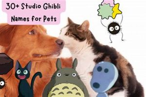 Ghibli Magic: Studio Ghibli Pet Names & Ideas Study Travel Abroad | Explore Educational Trips & Global Learning Opportunities Ghibli Magic: Studio Ghibli Pet Names & Ideas | Study Travel Abroad | Explore Educational Trips & Global Learning Opportunities