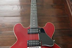 Review: Gibson 335 Studio - Is it Worth It? Study Travel Abroad | Explore Educational Trips & Global Learning Opportunities Review: Gibson 335 Studio - Is it Worth It? | Study Travel Abroad | Explore Educational Trips & Global Learning Opportunities