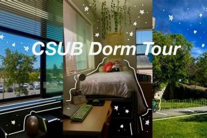 CSUEB Study Room Guide: Maximize Your Study Space Study Travel Abroad | Explore Educational Trips & Global Learning Opportunities CSUEB Study Room Guide: Maximize Your Study Space | Study Travel Abroad | Explore Educational Trips & Global Learning Opportunities
