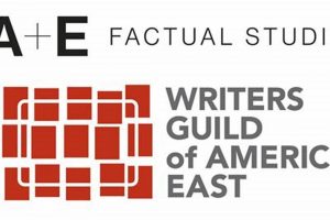 Why a e factual studios? - [Learn More Here] | Study Travel Abroad | Explore Educational Trips & Global Learning Opportunities
