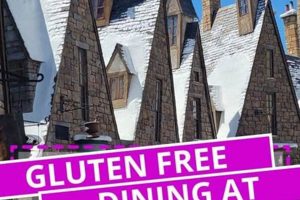 Your Guide: Universal Studios Orlando Gluten-Free Options & Tips Study Travel Abroad | Explore Educational Trips & Global Learning Opportunities Your Guide: Universal Studios Orlando Gluten-Free Options & Tips | Study Travel Abroad | Explore Educational Trips & Global Learning Opportunities