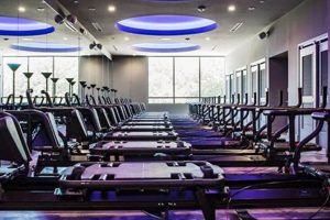 Elevate Fitness: Boutique Studio Workouts Done Right Study Travel Abroad | Explore Educational Trips & Global Learning Opportunities Elevate Fitness: Boutique Studio Workouts Done Right | Study Travel Abroad | Explore Educational Trips & Global Learning Opportunities