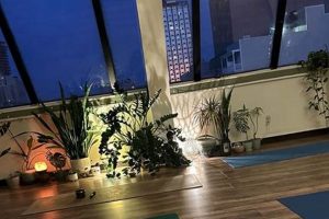 Your Roots Jersey City Yoga | Find Balance Study Travel Abroad | Explore Educational Trips & Global Learning Opportunities Your Roots Jersey City Yoga | Find Balance | Study Travel Abroad | Explore Educational Trips & Global Learning Opportunities