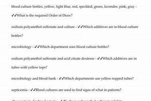 Get Certified: Phlebotomy Q&A PDF Study Guide Study Travel Abroad | Explore Educational Trips & Global Learning Opportunities Get Certified: Phlebotomy Q&A PDF Study Guide | Study Travel Abroad | Explore Educational Trips & Global Learning Opportunities