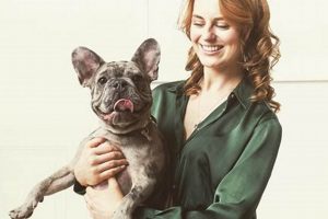 Unlock Sample Size Studios: Your Agile Creative Partner Study Travel Abroad | Explore Educational Trips & Global Learning Opportunities Unlock Sample Size Studios: Your Agile Creative Partner | Study Travel Abroad | Explore Educational Trips & Global Learning Opportunities