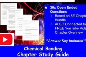 Ace Bonding: Study Guide Answer Key + Tips! | Study Travel Abroad | Explore Educational Trips & Global Learning Opportunities