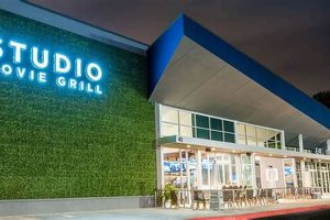 Ghibli Magic at Studio Movie Grill: A Cinematic Feast! | Study Travel Abroad | Explore Educational Trips & Global Learning Opportunities