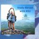 Unlock NSU Study Abroad: Programs & Your Future! | Study Travel Abroad | Explore Educational Trips & Global Learning Opportunities