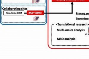 Best Nexus Study Guide: Definition, Tips & More! Study Travel Abroad | Explore Educational Trips & Global Learning Opportunities Best Nexus Study Guide: Definition, Tips & More! | Study Travel Abroad | Explore Educational Trips & Global Learning Opportunities