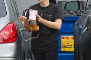 Gray Studios LA: Your Perfect Production Space | Study Travel Abroad | Explore Educational Trips & Global Learning Opportunities