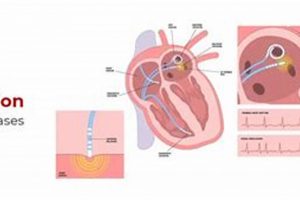 Understanding EP Study Cost: A Complete Guide & More Study Travel Abroad | Explore Educational Trips & Global Learning Opportunities Understanding EP Study Cost: A Complete Guide & More | Study Travel Abroad | Explore Educational Trips & Global Learning Opportunities