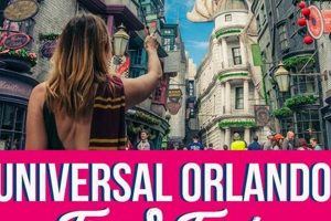 Pro Tips for Orlando Universal Studios (2024 Guide) Study Travel Abroad | Explore Educational Trips & Global Learning Opportunities Pro Tips for Orlando Universal Studios (2024 Guide) | Study Travel Abroad | Explore Educational Trips & Global Learning Opportunities