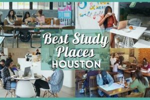 Local Quiet Study Spots Near Me: Find Your Focus Study Travel Abroad | Explore Educational Trips & Global Learning Opportunities Local Quiet Study Spots Near Me: Find Your Focus | Study Travel Abroad | Explore Educational Trips & Global Learning Opportunities