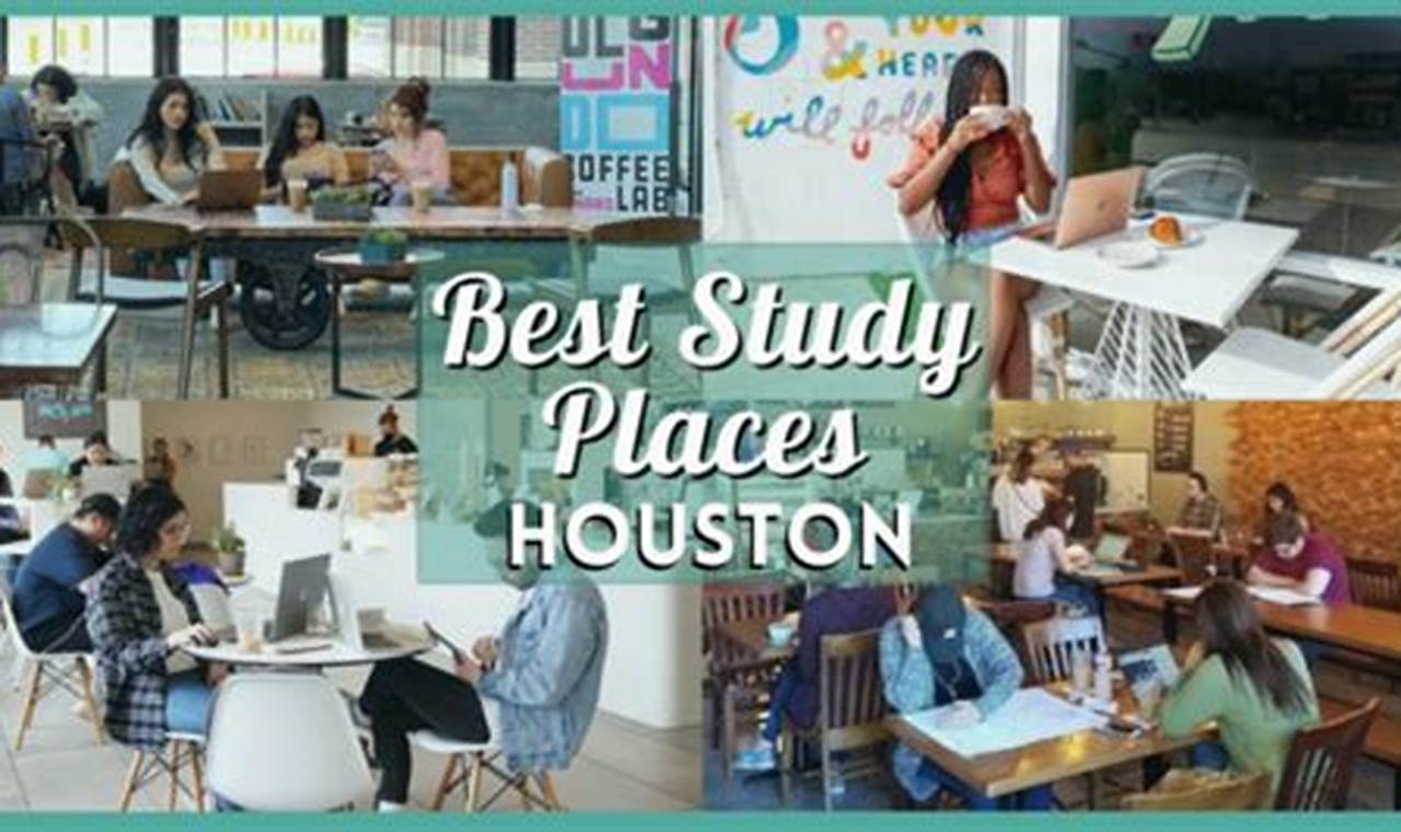 Local Quiet Study Spots Near Me: Find Your Focus Study Travel Abroad | Explore Educational Trips & Global Learning Opportunities Local Quiet Study Spots Near Me: Find Your Focus | Study Travel Abroad | Explore Educational Trips & Global Learning Opportunities