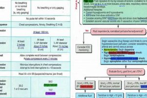 Best PALS Study Guide: Prep & Ace Your PALS Exam! Study Travel Abroad | Explore Educational Trips & Global Learning Opportunities Best PALS Study Guide: Prep & Ace Your PALS Exam! | Study Travel Abroad | Explore Educational Trips & Global Learning Opportunities