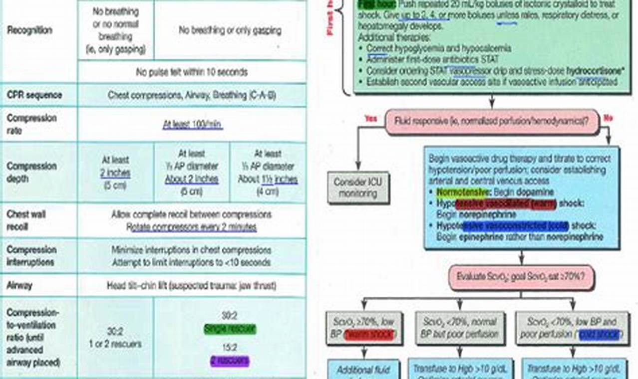 Best PALS Study Guide: Prep & Ace Your PALS Exam! Study Travel Abroad | Explore Educational Trips & Global Learning Opportunities Best PALS Study Guide: Prep & Ace Your PALS Exam! | Study Travel Abroad | Explore Educational Trips & Global Learning Opportunities