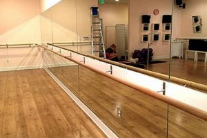 Buy Dance Studio Bar Now! - The Dancer's Choice | Study Travel Abroad | Explore Educational Trips & Global Learning Opportunities