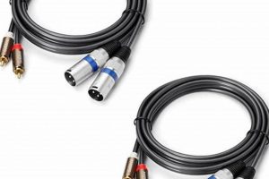 Studio Monitor Cables: RCA or XLR Extension [Guide] | Study Travel Abroad | Explore Educational Trips & Global Learning Opportunities