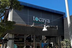 Best Tocaya Studio City: Mexican Eats & More | Study Travel Abroad | Explore Educational Trips & Global Learning Opportunities