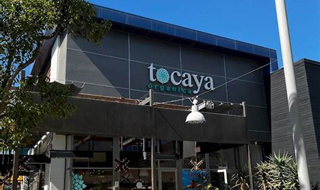Best Tocaya Studio City: Mexican Eats & More Study Travel Abroad | Explore Educational Trips & Global Learning Opportunities Best Tocaya Studio City: Mexican Eats & More | Study Travel Abroad | Explore Educational Trips & Global Learning Opportunities