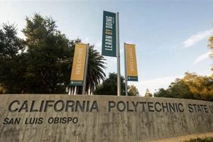 Why Study Abroad at Cal Poly? Your Global Journey Starts Here Study Travel Abroad | Explore Educational Trips & Global Learning Opportunities Why Study Abroad at Cal Poly? Your Global Journey Starts Here | Study Travel Abroad | Explore Educational Trips & Global Learning Opportunities