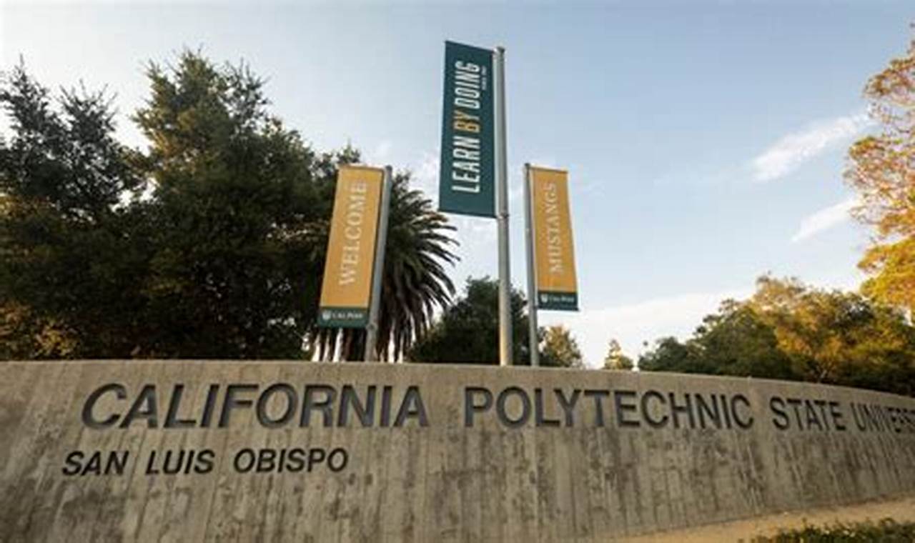 Why Study Abroad at Cal Poly? Your Global Journey Starts Here Study Travel Abroad | Explore Educational Trips & Global Learning Opportunities Why Study Abroad at Cal Poly? Your Global Journey Starts Here | Study Travel Abroad | Explore Educational Trips & Global Learning Opportunities