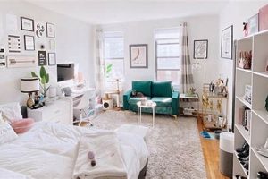Best Studio Apartments: Your Compact Urban Living Study Travel Abroad | Explore Educational Trips & Global Learning Opportunities Best Studio Apartments: Your Compact Urban Living | Study Travel Abroad | Explore Educational Trips & Global Learning Opportunities
