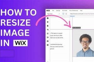 Wix Photo Studio: Unlock Resize Ratio Freedom! | Study Travel Abroad | Explore Educational Trips & Global Learning Opportunities