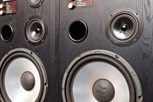 Best Acoustic Studio Monitor Series 3311: Reviews & Guide Study Travel Abroad | Explore Educational Trips & Global Learning Opportunities Best Acoustic Studio Monitor Series 3311: Reviews & Guide | Study Travel Abroad | Explore Educational Trips & Global Learning Opportunities