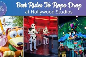 Hollywood's Rope Drop: What Time is it at Hollywood Studios? | Study Travel Abroad | Explore Educational Trips & Global Learning Opportunities