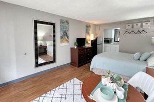 Find Your Dream Studio Apartments in Tuscaloosa, AL Today! | Study Travel Abroad | Explore Educational Trips & Global Learning Opportunities