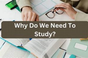 Why Engineering at Cornell? Your Study Guide + Tips | Study Travel Abroad | Explore Educational Trips & Global Learning Opportunities