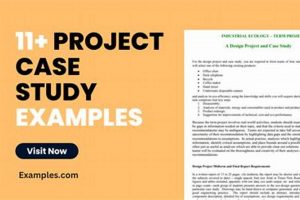 Real-World Project Management Case Study Examples & Tips | Study Travel Abroad | Explore Educational Trips & Global Learning Opportunities
