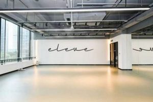 Elevate Your Dance: Eleve Dance Studio's Passion &amp; Precision! | Study Travel Abroad | Explore Educational Trips & Global Learning Opportunities