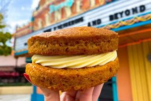 Disney's Carrot Cake Cookie at Hollywood Studios: A Sweet Treat! | Study Travel Abroad | Explore Educational Trips & Global Learning Opportunities