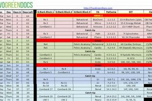 Ace Your USMLE Step 1: Study Schedule & Tips | Study Travel Abroad | Explore Educational Trips & Global Learning Opportunities