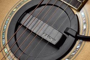 Top Studio Soundhole Pickups: Record Like a Pro | Study Travel Abroad | Explore Educational Trips & Global Learning Opportunities