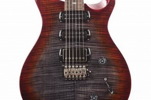 PRS Studio SE: Affordable Tone & Performance | Study Travel Abroad | Explore Educational Trips & Global Learning Opportunities